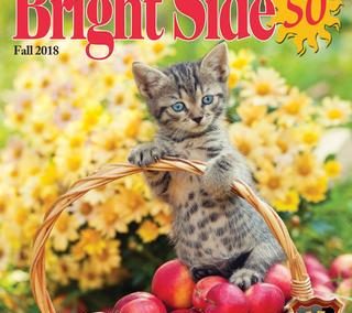 The Bright Side of 50 – Fall 2018