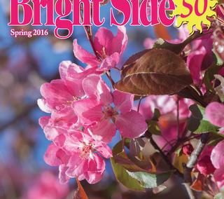 The Bright Side of 50 – Spring 2016